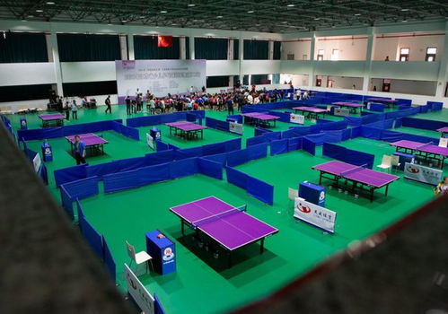 乒乓小將龍川競技 2021年江蘇省少兒乒乓球冠軍賽開幕，網(wǎng)絡(luò)競技球掀起新熱潮